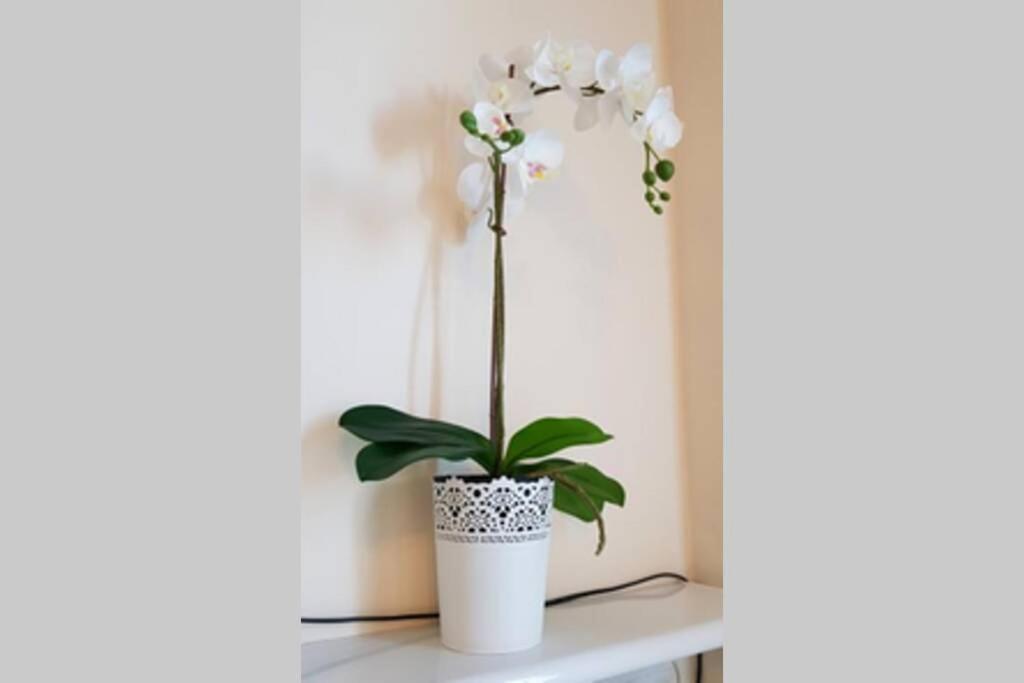 Cozy Modern Apartment Astoria Magic Orange Old Town คราคูฟ ภายนอก รูปภาพ